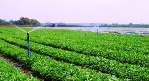 Cách mạng 4.0: Cơ hội 'vàng' cho nông nghiệp Việt Nam