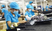 Hỗ trợ doanh nghiệp nhỏ và vừa khởi nghiệp sáng tạo