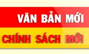 Tiêu chí dự án đầu tư cơ sở nghiên cứu, đầu tư ứng dụng công nghệ cao